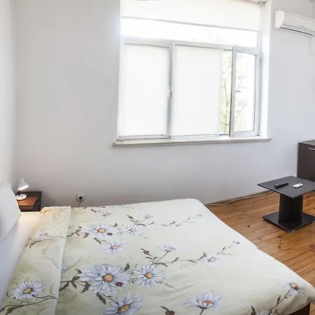 Guest Guest house *